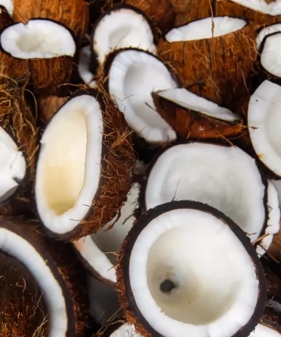 Aceite de Coco