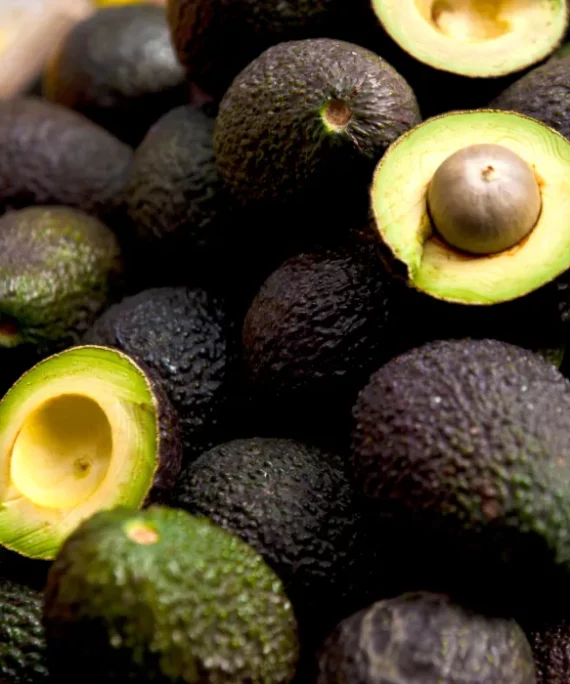 Aceite de Aguacate