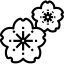 Cosméticas